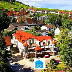 4* Hotel Rebstock